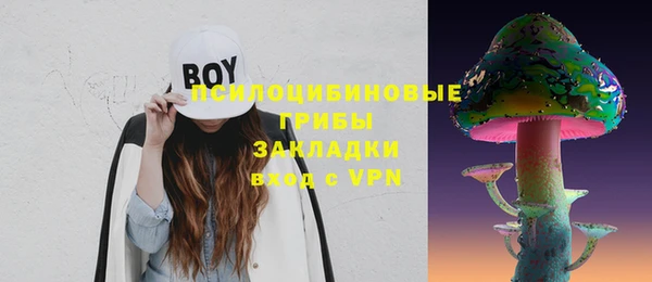 ПСИЛОЦИБИНОВЫЕ ГРИБЫ Алексин