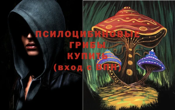 гидра Алзамай