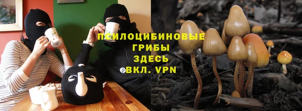 гидра Алзамай