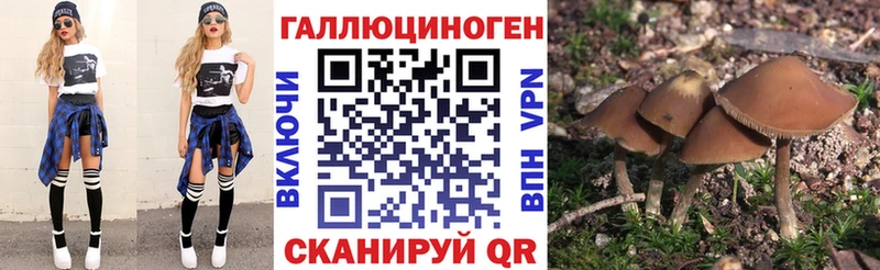 Галлюциногенные грибы Psilocybine cubensis  Алупка 